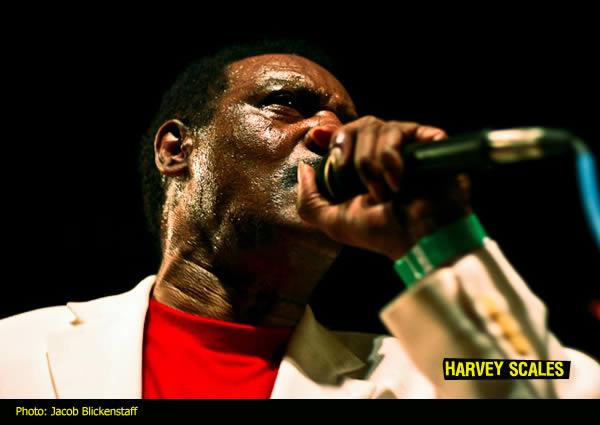 Harvey Scales